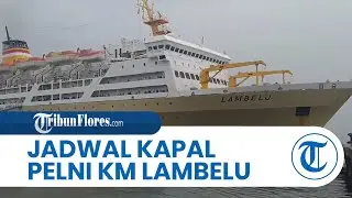Jadwal Kapal Pelni KM Lambelu Februari 2026, Rute Besok Balikpapan-Parepare, Jumat Tiba di Tarakan