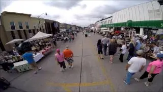 Litchfield Pickers Market June 2015