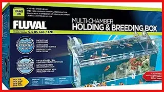 Fluval Multi Chamber Holding and Breeding Box, Large