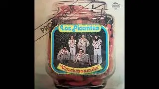 LOS PICANTES  - CON CHAPA ARRIBA -( DISCO  COMPLETO)