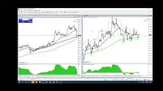 MR-Trading Live Stream
