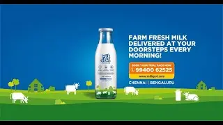 Milk Pot - Farm Fresh Milk in Hygienic & Sanitised Glass Bottles - Delivery in Chennai and Bengaluru