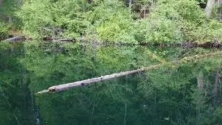 Wet lake