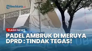 DPRD DKI Jakarta Desak Dinas Citata Usut Insiden Atap Lapangan Padel Ambruk di Meruya Jakbar
