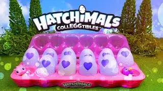 Hatchimals CollEggtibles One Dozen Egg Carton | Hatching Surprise