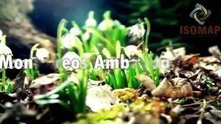 Consultora Ambiental ISOMAP Presentaci&oacute;n