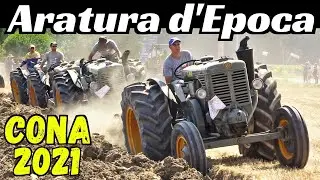 Aratura Trattori d'Epoca a Cona (FE) 2021, Azienda Agricola Tasso Denis - Landini Testa Calda, Steyr