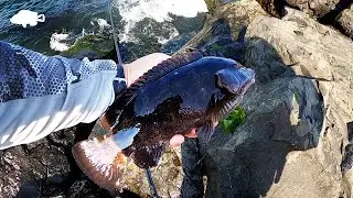 Tautog Fishing with Sand Fleas at the Jetty