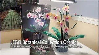 TheChanClan: LEGO Botanical Collection Orchid Review and Demonstration 10311