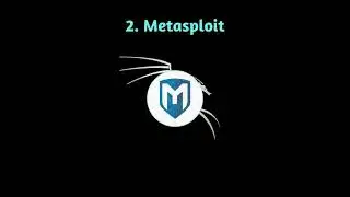 kali linux tools