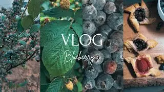 Making Blueberry Jam | Slow Living Vlog