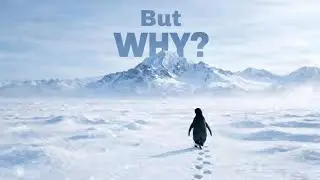The Mountain Calling (Original Song) l V!RAL MUSI&copy; l The Lone Penguin