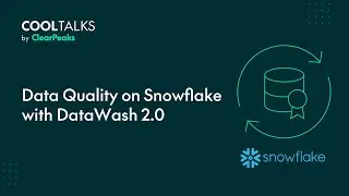 Data Quality on Snowflake with DataWash 2.0​