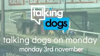 Talking Dogs On Monday 3rd November