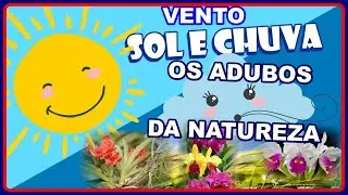 CHEGA DE ACHAREM QUE ORQUIDEA PRECISA DE 500 TIPOS DE ADUBOS EU FALO MOSTRO E PROVO O PORQUE DISTO