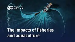 The Impacts of Fisheries and Aquaculture
