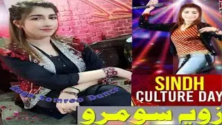 Zoya Somroo Song at Sindhi cultural daydance party #sindhisong #cultureday #pakistan#zoyajaa