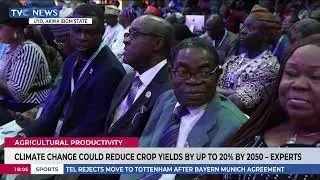 Climate Change Could Reduce Crop Yields By Up To 20%  By 2050 - Experts