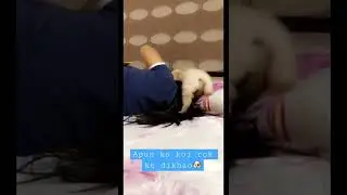 Dobby in Masti Mood #goldenretriever #doglover #shorts #ytshorts #animals #cutestgoldens #funny #fun