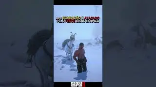 pov: BOMBAD&Atilde;O &Eacute; ATACADO PELO FEROZ BIS&Atilde;O BRANCO no RED DEAD REDEMPTION 2