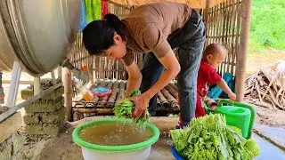 All of Ly Tieu Ca's efforts finally paid off: Harvesting vegetables in the garden to sell.
