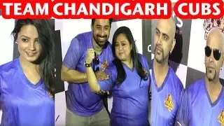 Box Cricket League 2016 | Chandigarh Cubs Team | Media Interaction | BCL 2016