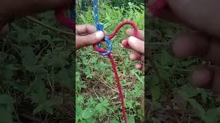 How to tie a Sheet Bend Knot