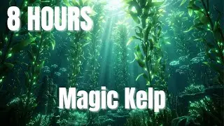 The Magic Kelp Forest 🌿 8 Hours Underwater Nature Sleep Music ♫ Green Healing Lullaby