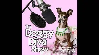 The Doggy Diva Show - Episode 116 Pet Toxin Danger | FurZapper | Pet Oral Care