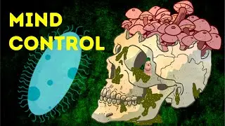 This Parasite Controls Your Mind