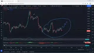 Bitcoin Cash Analysis for December 2, 2021 - BCH