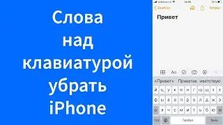 Как отключить отображение готовых слов при наборе текста iPhone