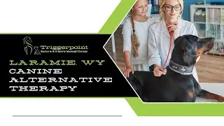 Laramie, WY Canine Alternative Therapy