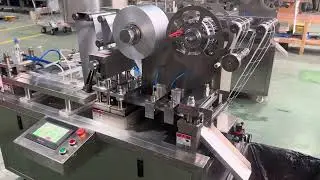 DPP-100 Automatic Blister Packaging Machine Cheese Packing