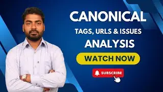 Canonical Issues Explained for Beginners | SEO Tips for Website Owners
