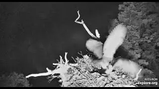 THE GHO ATTACKS PHOEBE!!! Regular and Slo-mo 2020 06 13 22 55 16 850