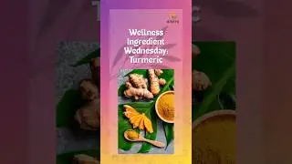 It&rsquo;s Wellness Ingredient Wednesday 🌱 &mdash; today&rsquo;s spotlight is turmeric ✨! #PetNutrition #HolisticPets