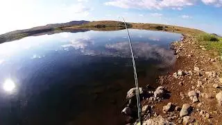 Fly Fishing North Eastern Nevada