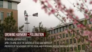 Growing Harmony