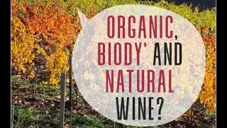 Organic, biodynamic and natural wine : what differences?