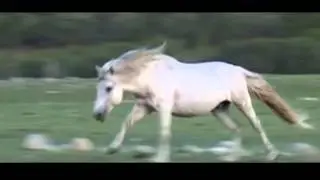 S.Zagd-Ochir 4 Nastai Haliun