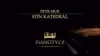 Petr Muk - Stín katedrál (klavírní doprovod / karaoke)