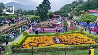 🟡 [4K] 🇵🇦  La feria de las flores y el caf&eacute; | Boquete Chiriqu&iacute; 2026