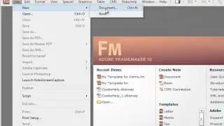 Create a Customized Template and Import in a Adobe Framemaker Document - 6