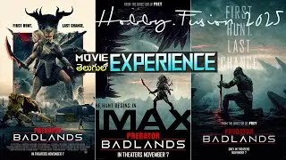 EXPERIENCE: 