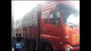 Emergency funding for quake-affected regions in Tibet