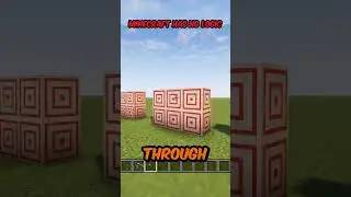 Minecraft Makes No Sense #minecraft #gaming#memes #silly #nologic