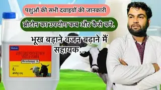 Broton॥ब्रोटोन॥Veterinary Liver tonic ॥पशुओं के लिए ज़रूरी ॥Virbac || Benefits & uses