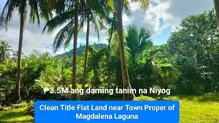 #V174 Clean Title FARM LOT FOR SALE 💯% flat land Cocofarm in Magdalena Laguna