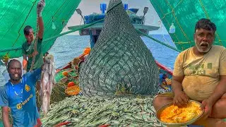 EPIC‼️ULTIMATE FISHING COMBO!🔥3DAYS UNCUT DEEP SEA ADVENTURE | MASSIVE CUTTLEFISH & MACKEREL HAUL! 🤩